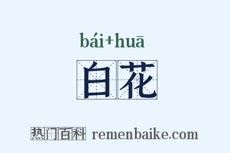 白花是什么意思的图片